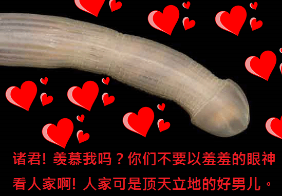 Untitled.gif.5739c717162ba3eabc54ba6dcb0a4d9e.gif