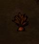 carrot.JPG.b3c7ba93592afb1c4ed40fa67dd0bc17.JPG