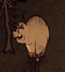 pig.JPG.b8855406d1ab921151ec457455053349.JPG