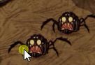 spider.JPG.9099fd1b966f948a7a634a20bb0750fb.JPG