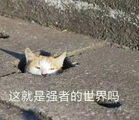 7CE9F6F10CEDEDD5950E0AB7F6491E12.jpg.a3a3d1ab41968e43d400a2ee51d0a450.jpg