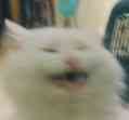 1643534496_@CK11DT_2HWZ5QX(_9.jpg.d3f353e641e68c671f47c55034b06803.jpg