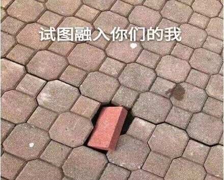 1943625709_QQ20190118130941.jpg.d088baa30887fcad36d6b16c83f9e7a8.jpg
