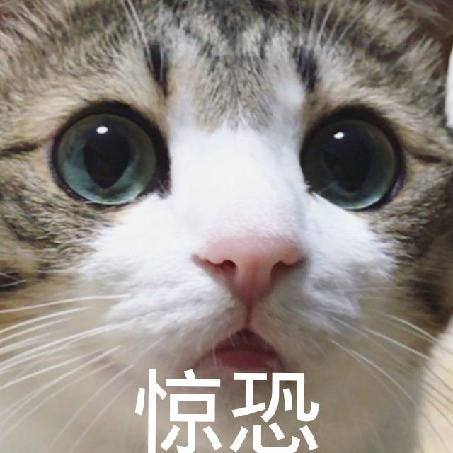 1535722669001.jpg.0cc1fa209263911fa4d3c0dce05d8c78.jpg