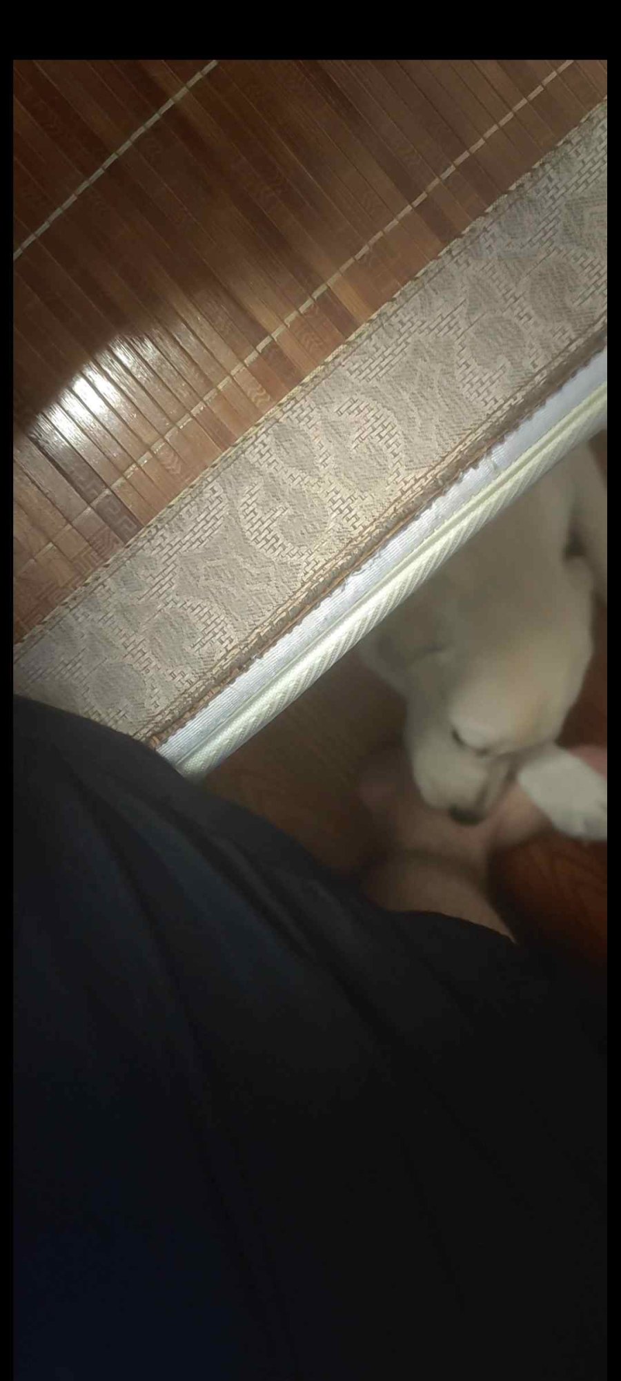 Screenshot_2023-02-19-20-05-22-514_com_miui.video.thumb.jpg.20b95bb744c7ff1da4e828961670c47b.jpg
