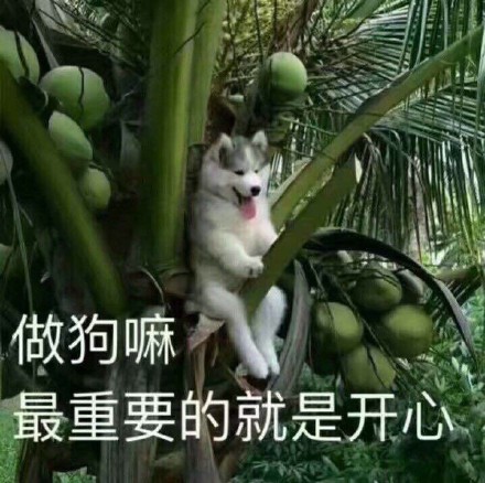 image.jpeg.fb86240ecdcd3f46e7832a84a14414e7.jpeg